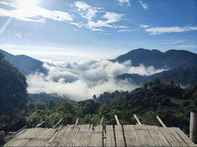 โฮมสเตย์สไตล์แคมป์ปิ้งกลางหุบเขา  ณ บ้านผาฮี้⛰️⛺️