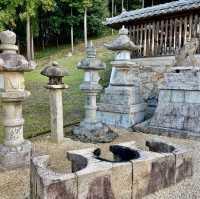 Yasaka Shrine: Centuries Unfolded Grace