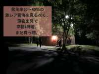 発生率40％の奇跡！雲海テラスドライブ