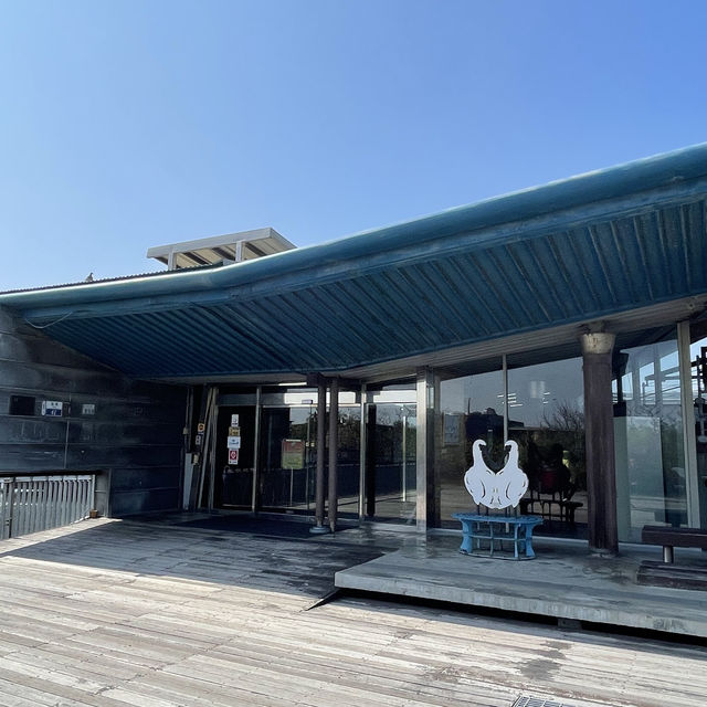 黑面琵鷺生態展示館