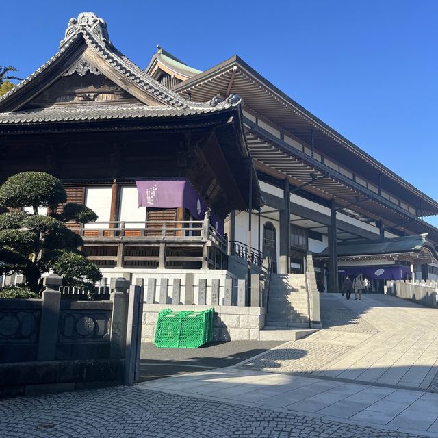 일본전통스타일을 느낄수 있는 현지인 관광지!🍵나리타 신쇼지 🇯🇵