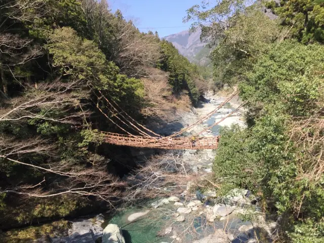 🇯🇵日本的三大奇橋之一📍祖谷蔓橋