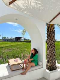 Lunch with a padi field view 