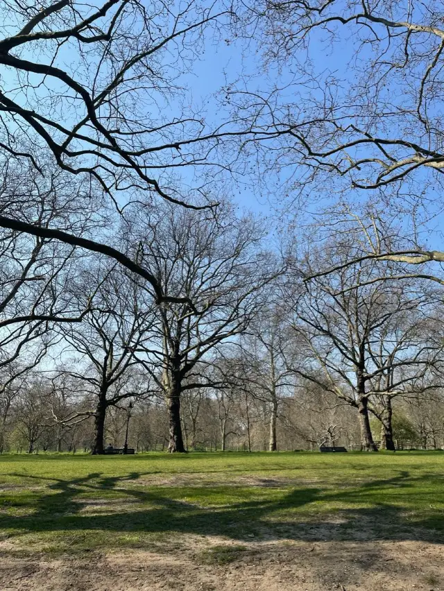 봄이 온다면?! 놓치면 안 될 런던의 공원 3곳! 세인트 제임시즈공원, 하이드파크, 프림로즈힐
