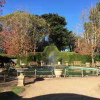 Beautiful garden with hedge maze