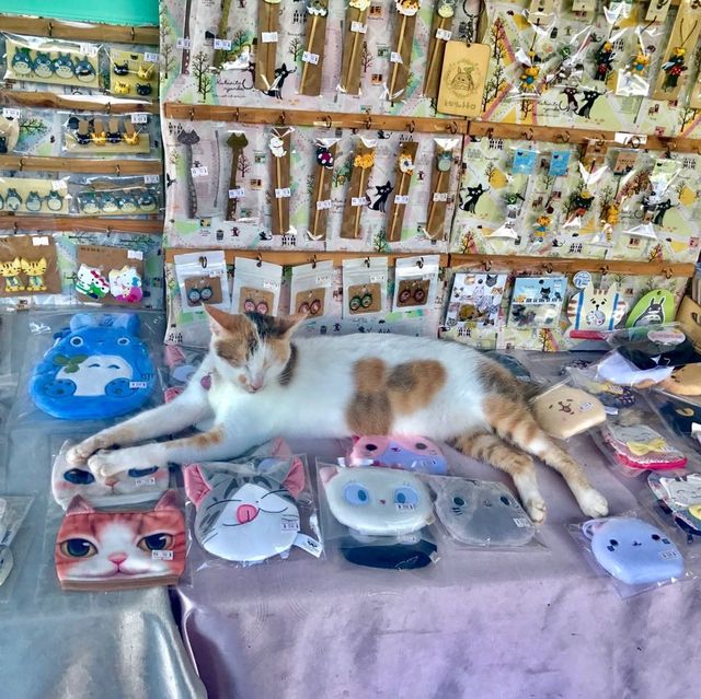 대만 허우통 고양이마을 🐈🐈‍⬛