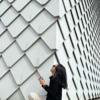 Big White Wall