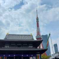 世界中の観光客を呼び寄せる桜の増上寺
