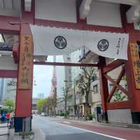 世界中の観光客を呼び寄せる桜の増上寺