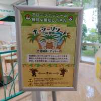 宮崎空港には航空大学校の訓練機が屋上に展示されている
