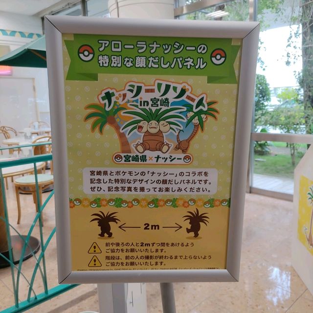 宮崎空港には航空大学校の訓練機が屋上に展示されている
