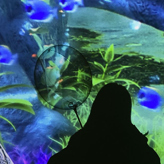 밤에 꼭 봐야하는 디지털 아트, 통영 디피랑⭐️