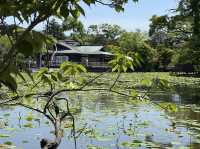 漫遊鎌倉｜小町通商店逛街採買、鶴岡八幡宮參拜