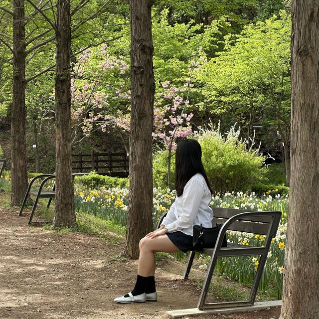 풍차랑 튤립조합이 사랑스러운 수목원🌷