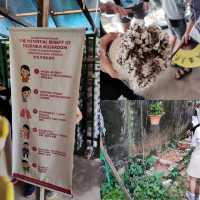 Educational Visit to Wonder Farm Mushroom 