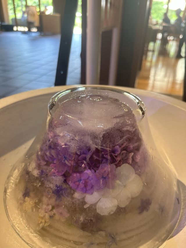 【大阪】無料で楽しめる紫陽花スポット〜舞洲ロッジ〜