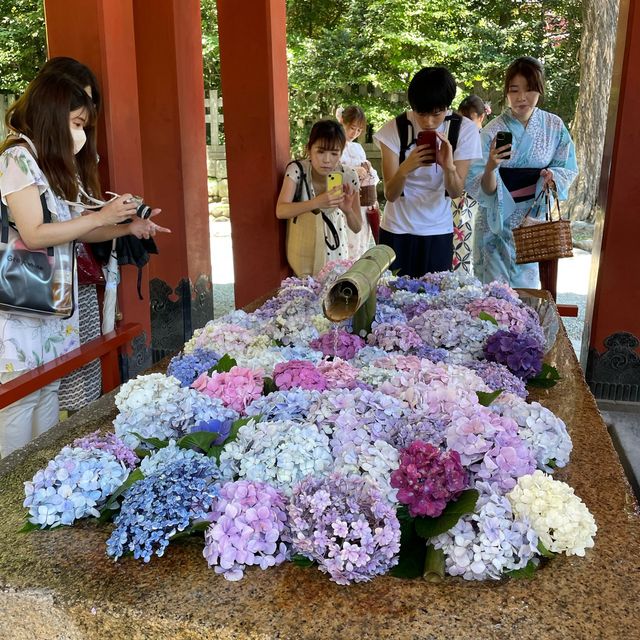 鐮倉與江之島一日遊