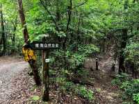 เดินป่าสำรวจอุทยานธรรมชาติ บนภูเขา🌳🏕️