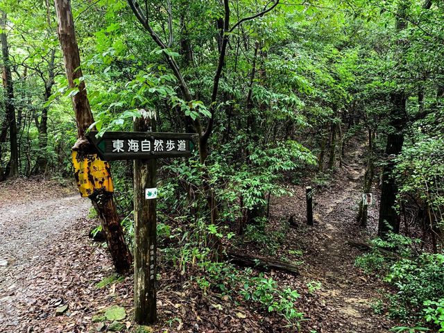 เดินป่าสำรวจอุทยานธรรมชาติ บนภูเขา🌳🏕️