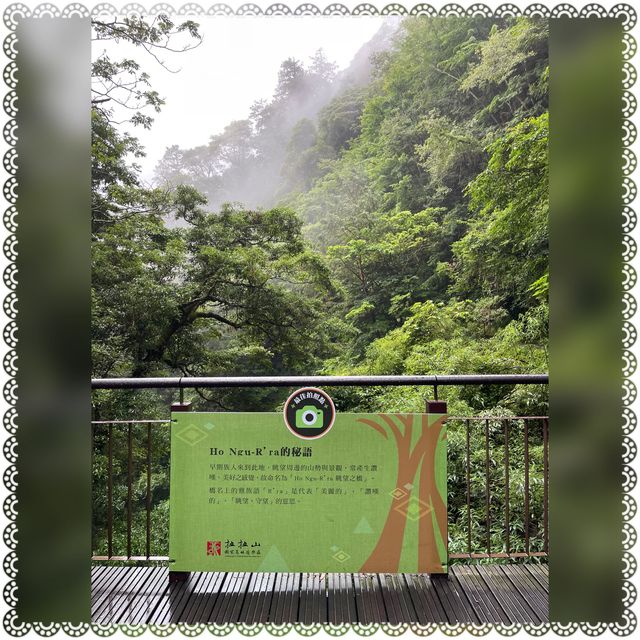 （桃園/復興）享受芬多精的洗禮-拉拉山神木群步道
