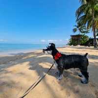 รีวิว โรงแรม Sea Sand Sun Pattaya