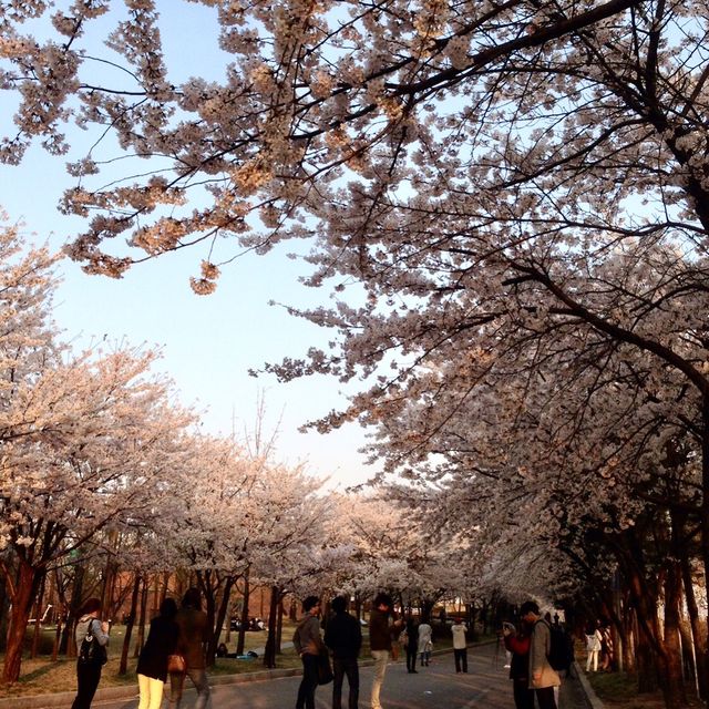 Hangang Riverside Park