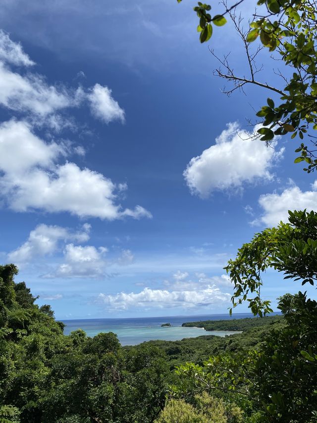 沖縄・西表島【奥ゲータの滝】
