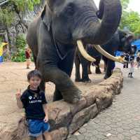 泰國曼谷最大最多元化的開放式動物園Safari World 野生世界