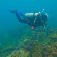 Scuba Diving at SatunDiveResort,Thailand
