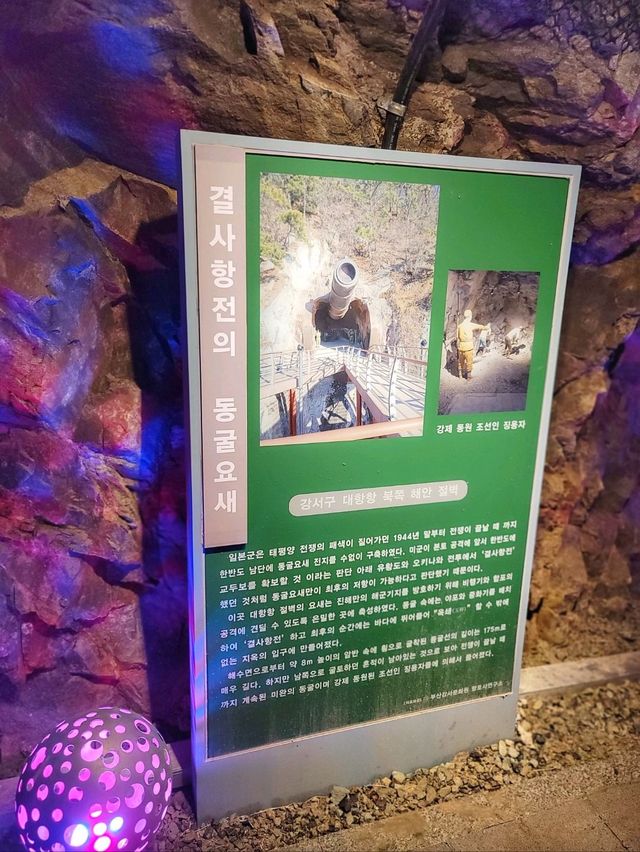 빛터널과 포토존이 있는 대항항포진지동굴🪨