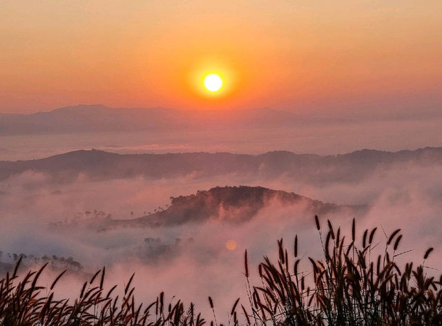 ดอยสะโง้ จุดชมวิวสุดไฮไลท์ที่สุดของChiangSean
