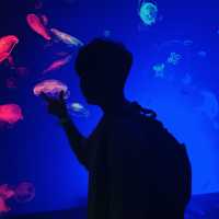 พิพิธภัณฑ์สัตว์น้ำท่าเรือนาโกย่า 名古屋港水族館
