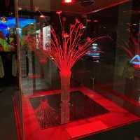 日本景點✨ 網紅打卡點💃🏻三河工藝玻璃美術館