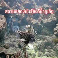 สถานแสดงพันธุ์สัตว์น้ำภูเก็ต