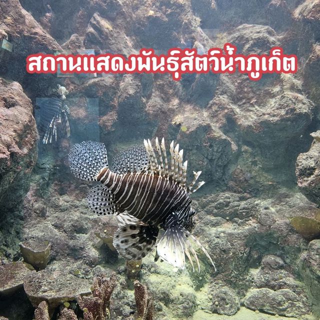 สถานแสดงพันธุ์สัตว์น้ำภูเก็ต