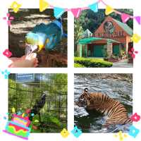 狂野探險！揭秘洛卡宜野生動物園的動物奇遇🦁🌿🐒
