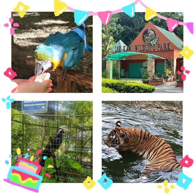 狂野探險！揭秘洛卡宜野生動物園的動物奇遇🦁🌿🐒