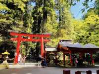 日本必去景點之一（箱根神社）
