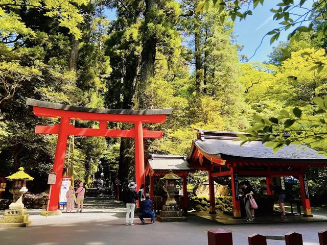 日本必去景點之一（箱根神社）
