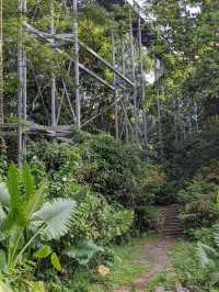 Telok Blangah Hill Park
