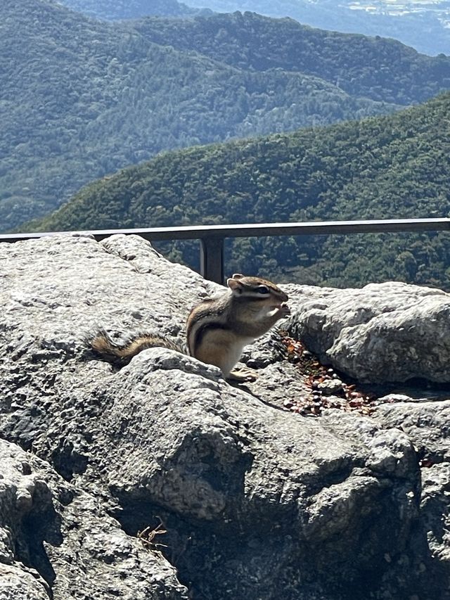 가을 등산 하기 딱 좋은 계절에 강원도 치악산으로 떠나요⛰️
