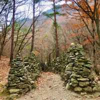 강릉 [노추산 모정탑길]에 단풍 한스푼🍁