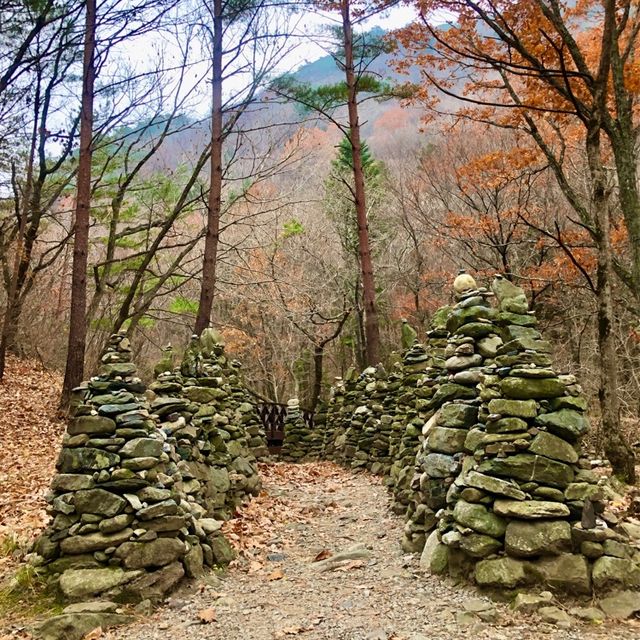 강릉 [노추산 모정탑길]에 단풍 한스푼🍁