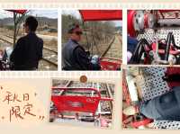 首爾加平鐵道自行車公園：走進電影般的浪漫，感受大自然的魅力！