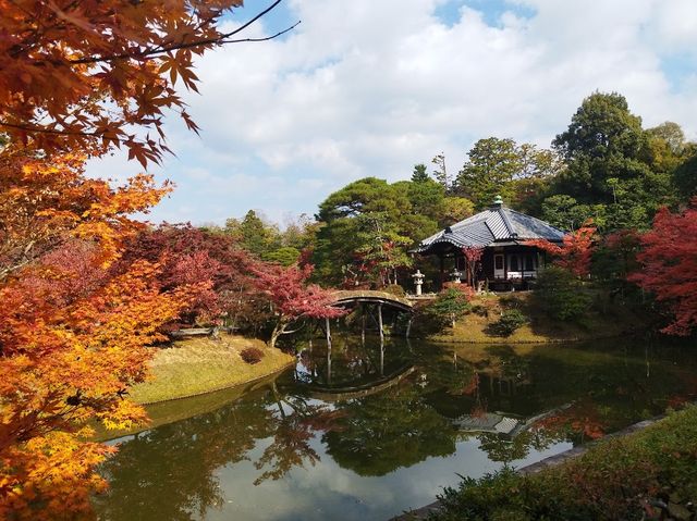 歷史悠久的日本庭園 。桂離宮