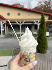 Makaino Farm next to Mt Fuji