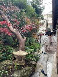 🇯🇵探索舒適悠閒中目黑區👀店舖室內設計有驚喜😮