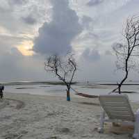 A Perfect Oasis and memorable experience 