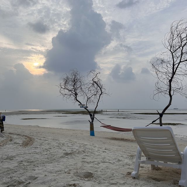 A Perfect Oasis and memorable experience 