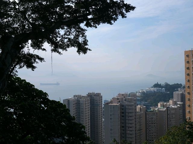 薄扶林活化古蹟 -薄鳧林牧場